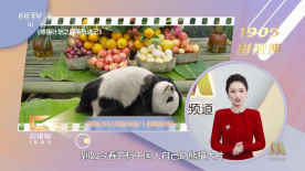 欧美1区2区3区4区